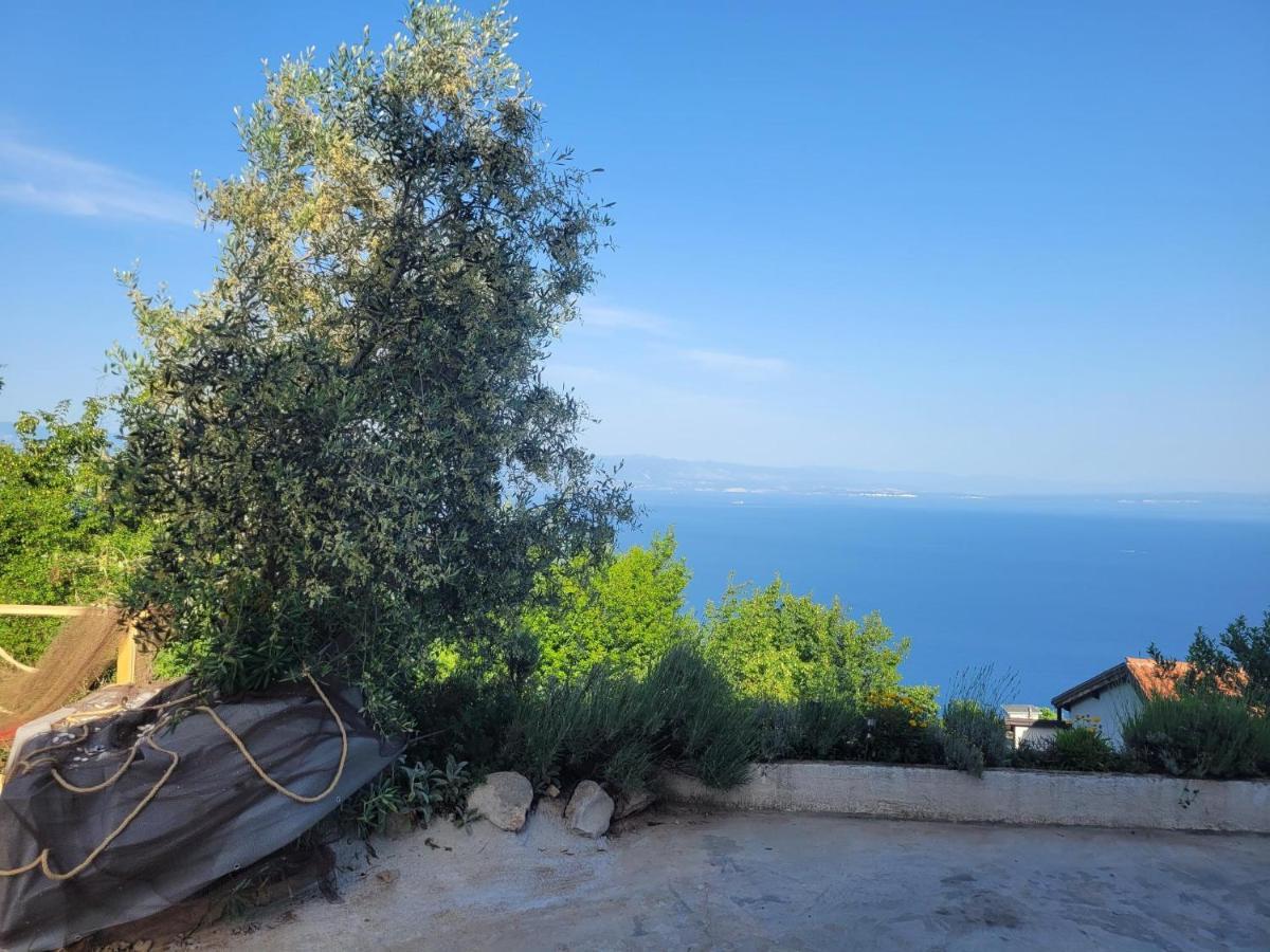 Ferienwohnung Mit Pool Kroatien Mit Meerblick Und Pool Lovran Exteriér fotografie
